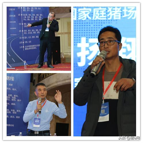 养猪如何支撑利润目标达成,养殖猪发展趋势