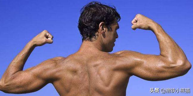 肌肉为什么越来越小了,不健身肌肉为什么变小