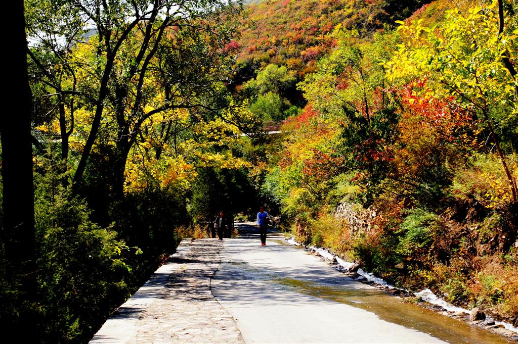 河北省张家口市合村并镇,张家口市在中国城市排名