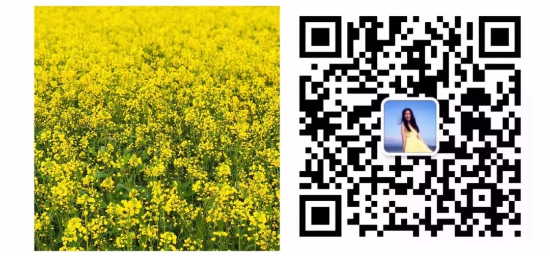 水彩画绣球教程四点画法,绣球花水彩画教程