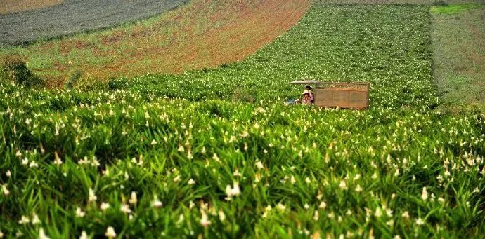 距海南20km有片处女地，比台湾风情比三亚便宜，路过都错过了