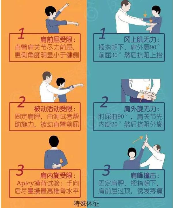 肩袖损伤康复锻炼引起疼痛怎么办,肩袖损伤为什么睡觉会疼痛加重