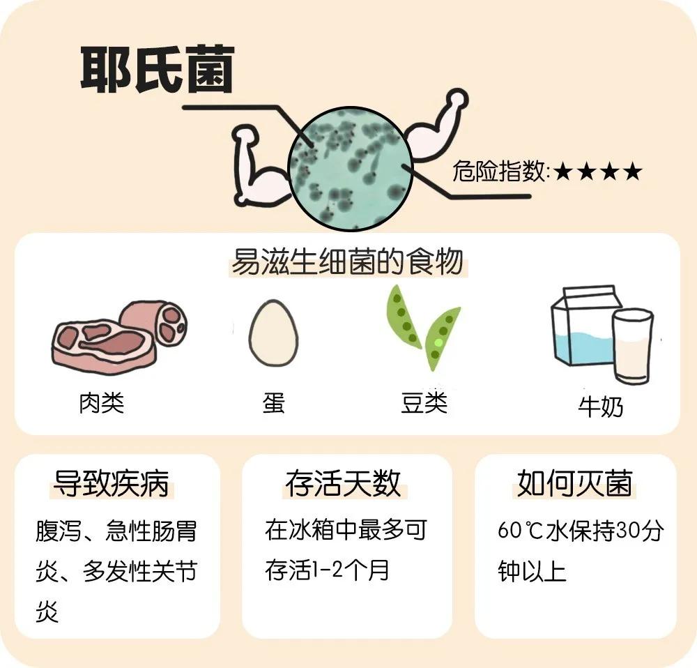 冰箱臭氧除臭杀菌器对人体有害吗,冰箱停电冷冻室东西臭了如何除臭