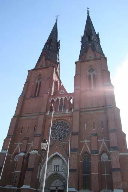 深夜除了晒烤串，还能晒太阳