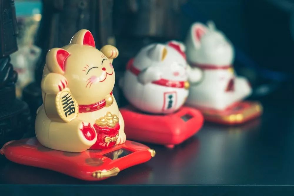 日本人喜欢猫还是狗 (日本人为什么不喜欢金银眼猫)