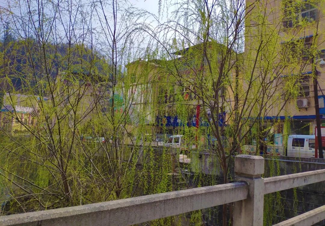 初来白河仓上，便喜欢上这个小镇