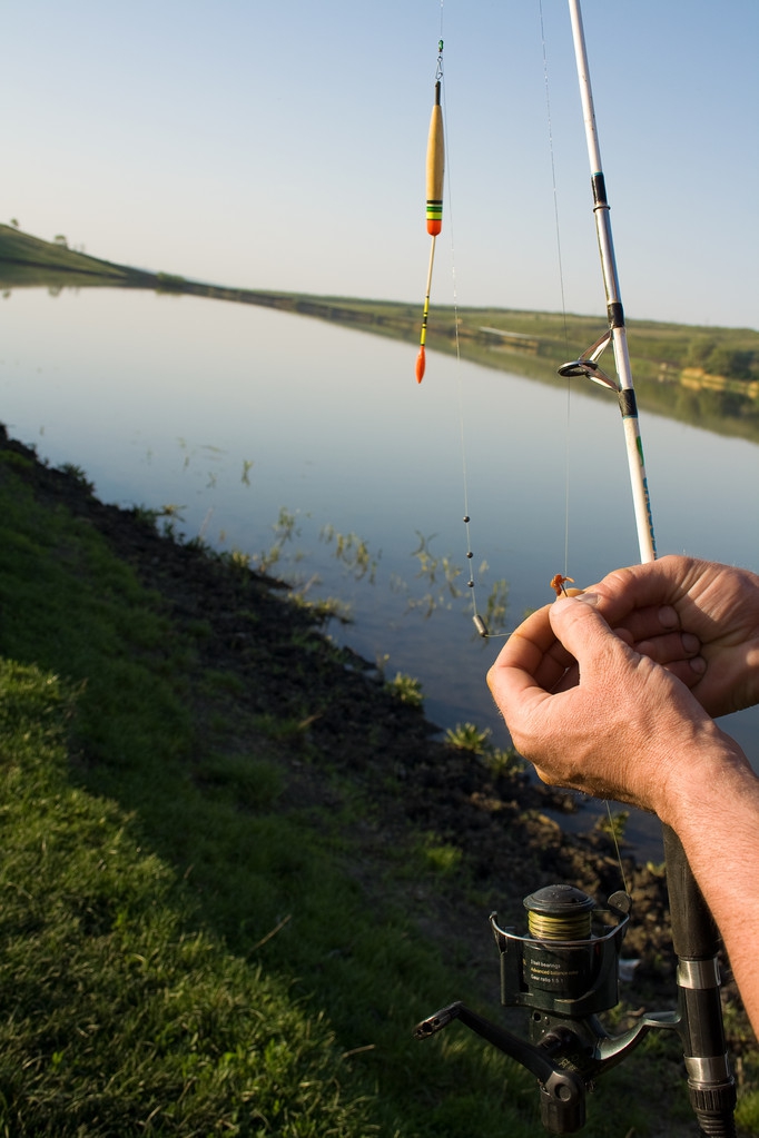 饲养蚯蚓前景,如何饲养蚯蚓小视频