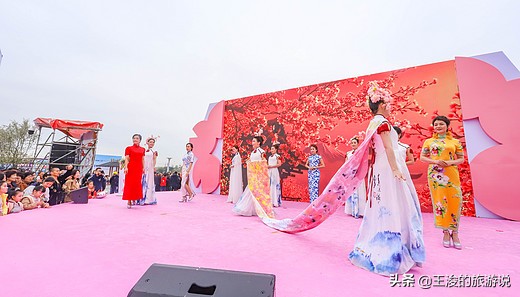 温州龙湾樱花,温州看樱花的地方