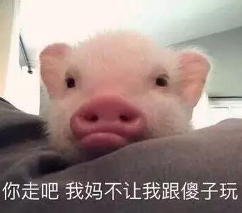 本月最强笑话100句,正能量笑话大全爆笑简短笑点高