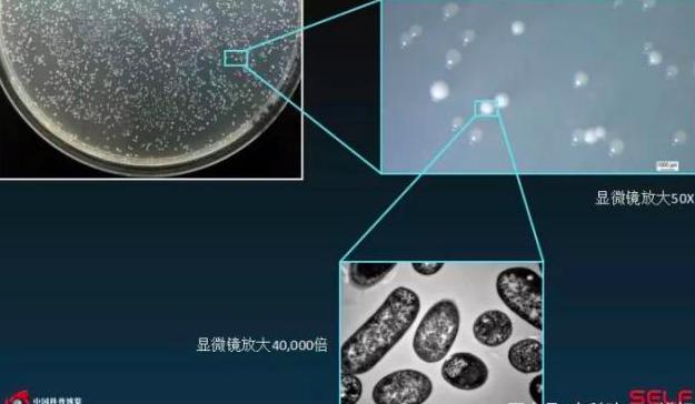 塑料大概多少年才能在自然界降解,塑料究竟可以降解吗