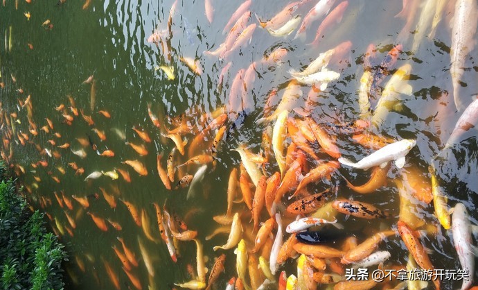 白云山哪几个景点值得去看,广州白云山旅游顶级景区