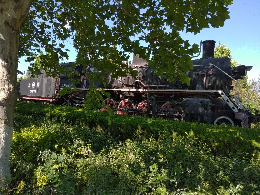 张钢回家,张钢的生活