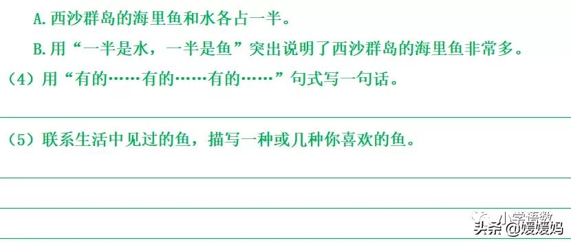 三年级第18课富饶的西沙群岛视频,三年级上册18富饶的西沙群岛笔记