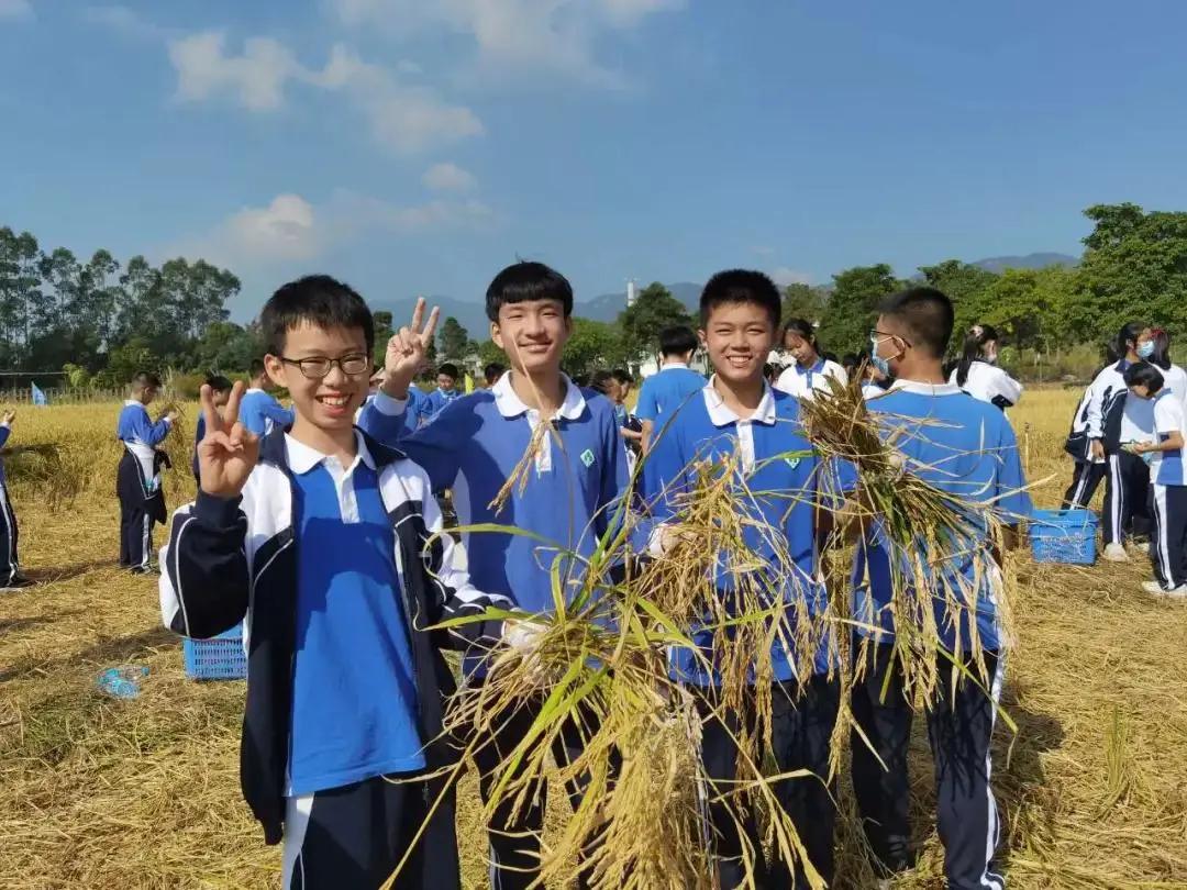 深中龙初入学积分,深圳中学初中部与深中龙初哪个好