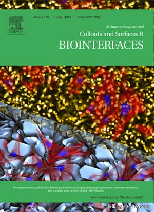 小说封面设计入门教程,怎么让自己的文章变成动画