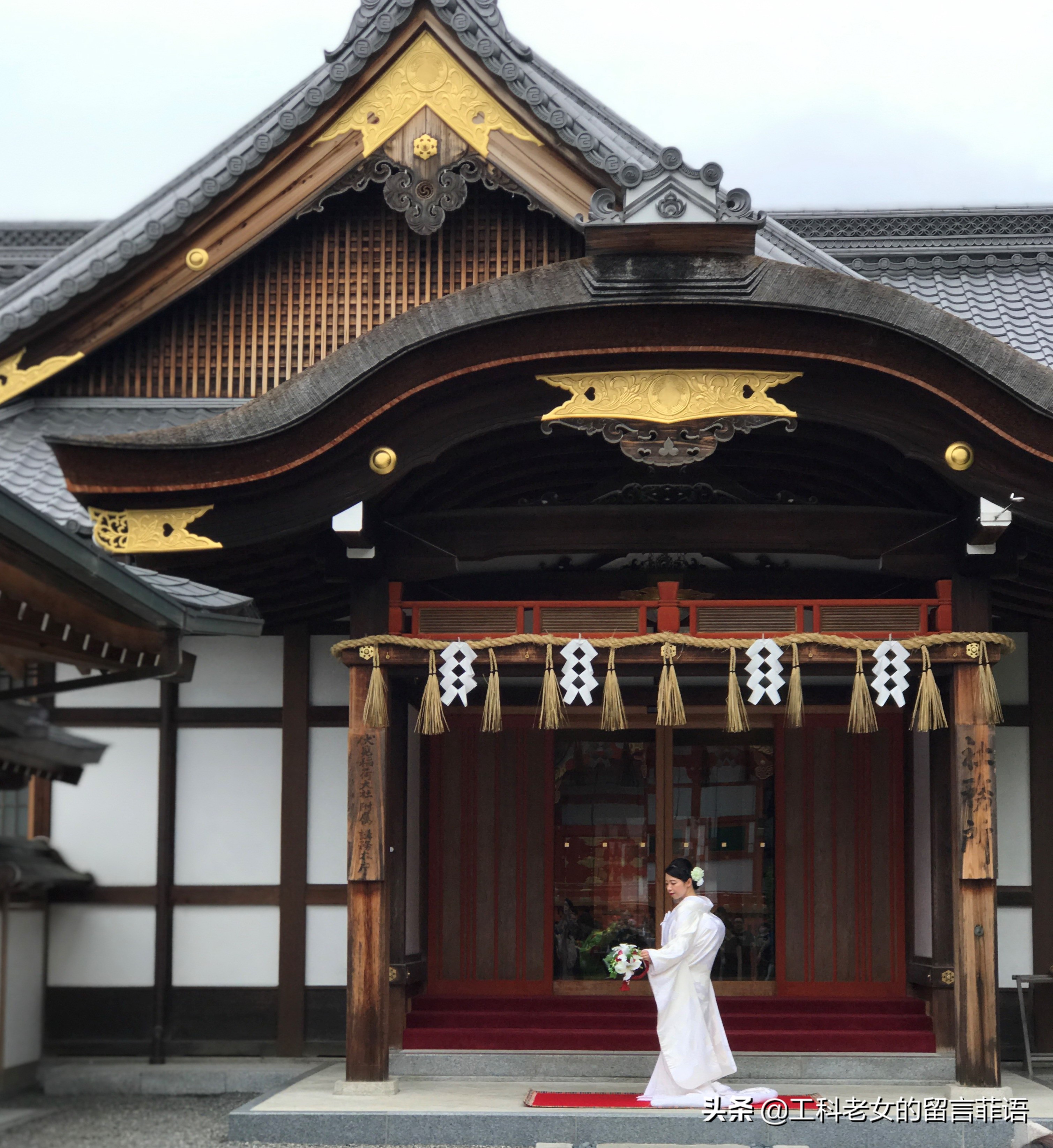 夏天去京都注意哪些事项,盛夏去哪玩