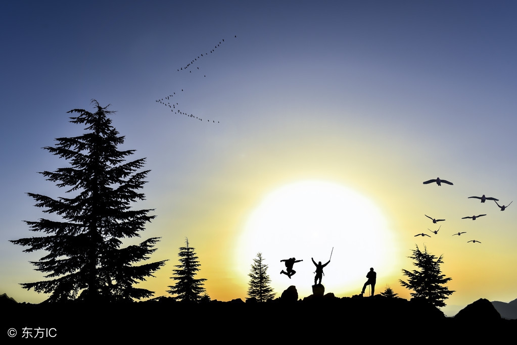 阅读理解不丢分辅导资料,阅读理解答题怎样就答完整了