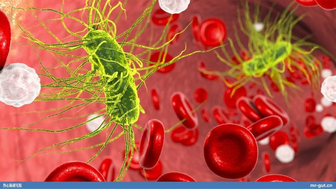 热心肠先生益生菌视频大全,热心肠先生全集