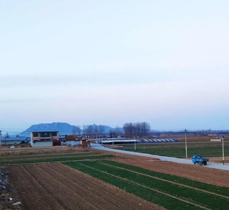 疫情下的平山,东莞平山疫情最新今天