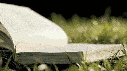 一个兼职宝妈成功逆袭,一位聪明妈妈做了8年免费保姆