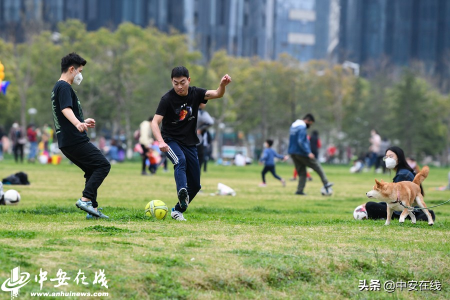 合肥市内体育场馆开放通知,合肥体育中心对外开放时间