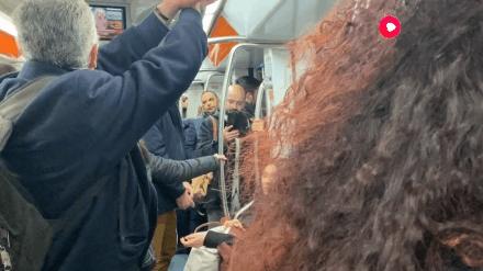 全球抗疫直播视频,全球战疫真实纪录片