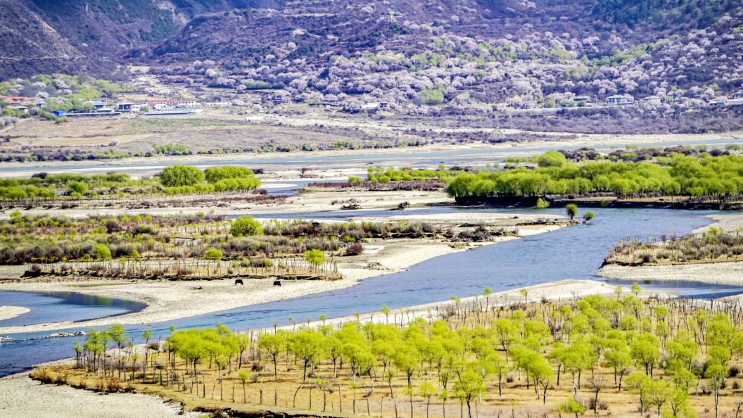 拉林铁路有哪些高铁站,拉林高铁美景