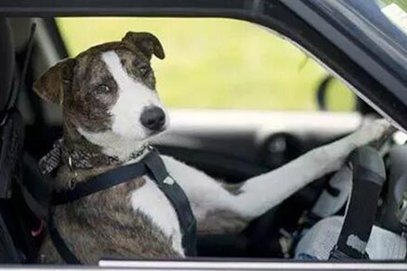 挽回男朋友最有效的方法,挽回男朋友的最佳方法和技巧