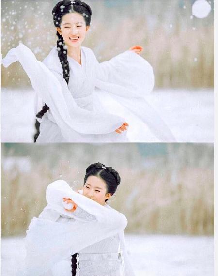 刘诗诗杨幂刘亦菲谁最美,刘亦菲杨幂刘诗诗同台侧脸