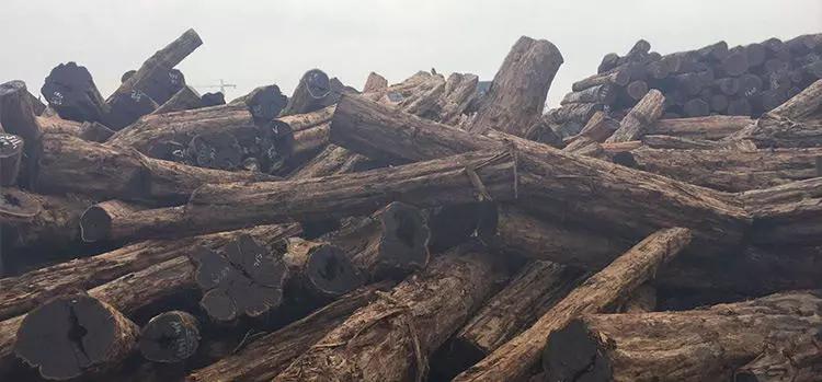 过节送礼学问,年关将至送礼怎么说