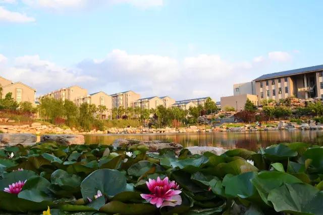 山东财经大学推荐,山东财经大学为什么那么火