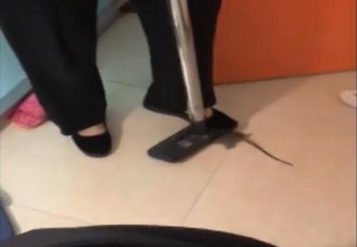 入住酒店被老鼠咬了应该怎么处理,入住酒店被老鼠咬了