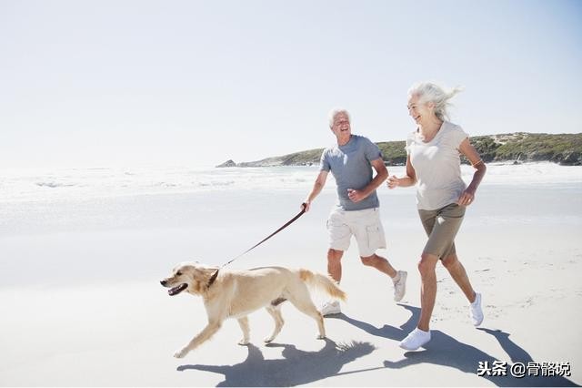 维生素k2的功效和钙d的作用一样么,维生素k1k2k3的作用及功效