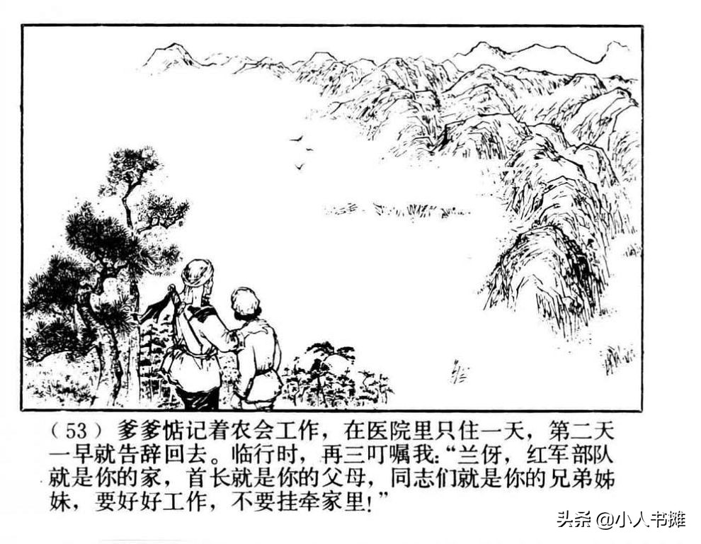 朝阳花-上海人民美术出版社1981陆成法陆小弟绘「上」
