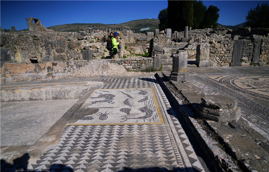 非洲奇遇,摩洛哥唯一的古罗马遗迹,为何从繁华都市到一片废墟?