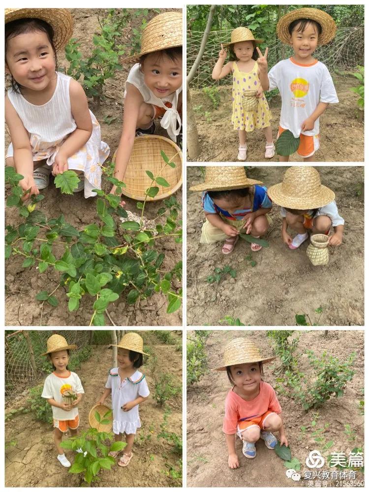 邯郸复兴区第一幼儿园环境,邯郸复兴区第一幼儿园是公立的吗