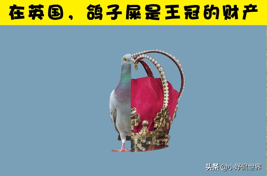 那些比书本有趣的冷知识,课本冷知识