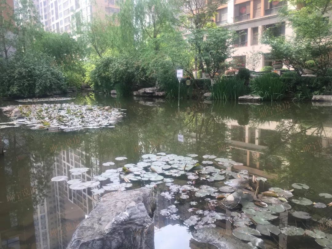 长安区哪个楼盘值得入手,长安板块楼盘有哪些好点