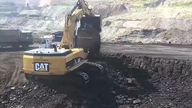 大学生回村创业赚200万,大学生回乡创业年入百万