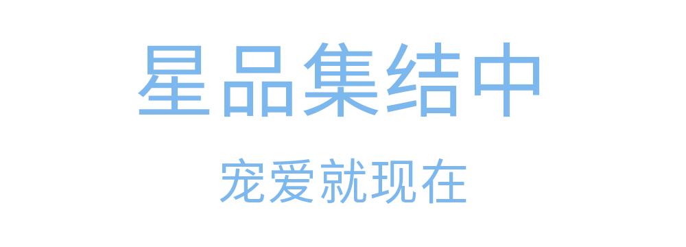 雅顿胶囊套装,雅顿胶囊