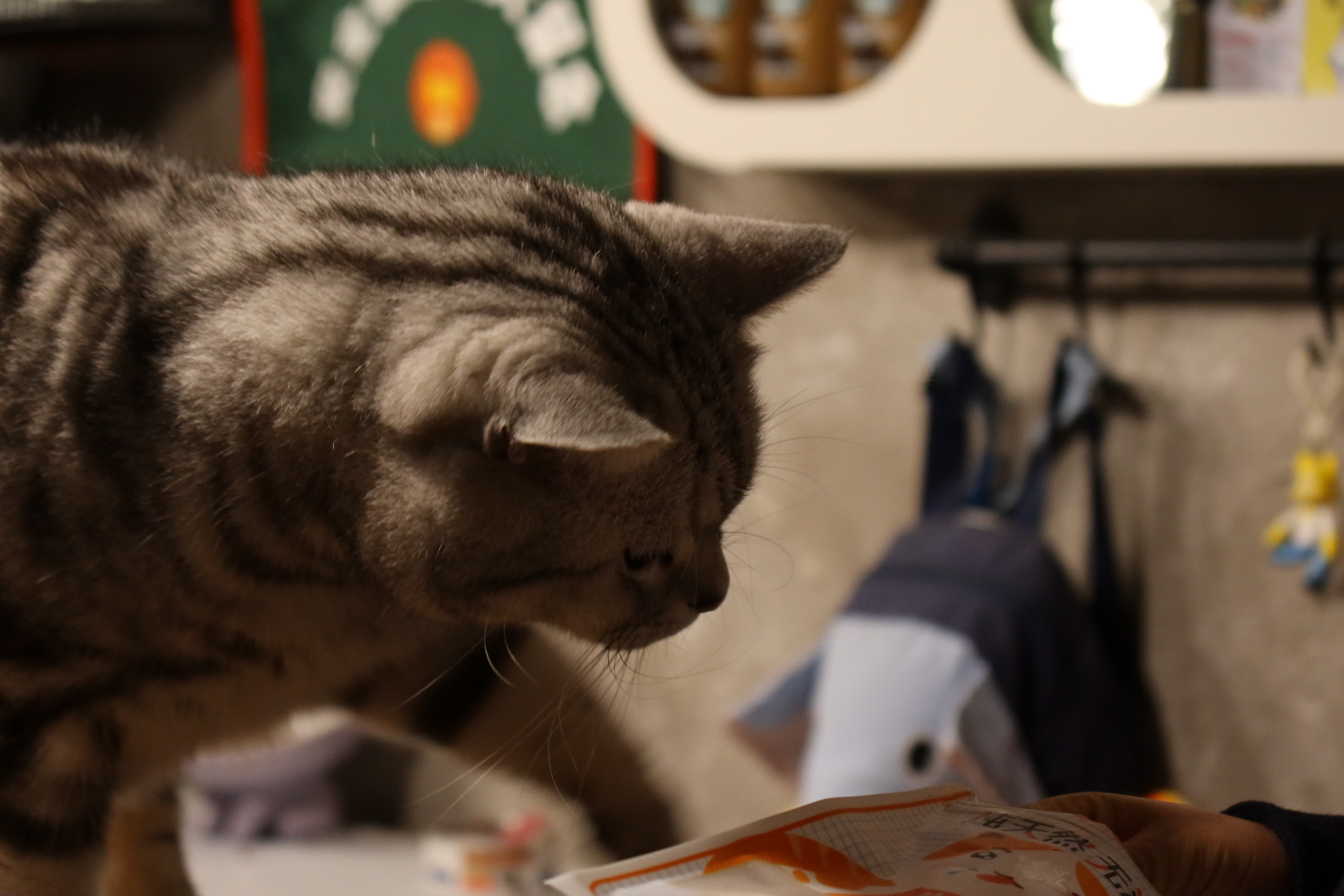 佳能g5x2全新,佳能g5xii系列