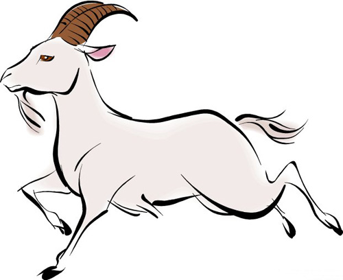 十二生肖哪个月份出生的人命最好,十二生肖几月出生最好最有福气