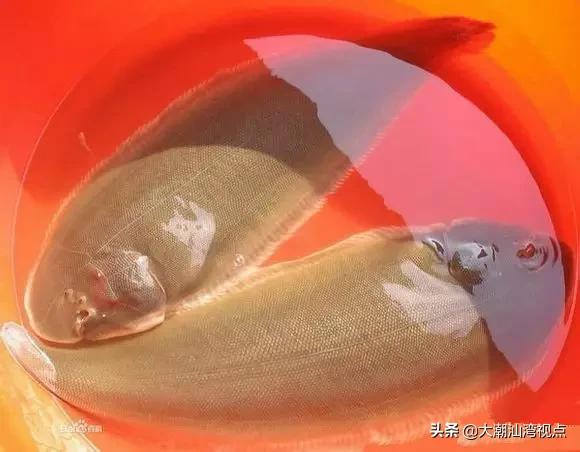 作为潮汕人，这89种海鲜你都能对上号吗