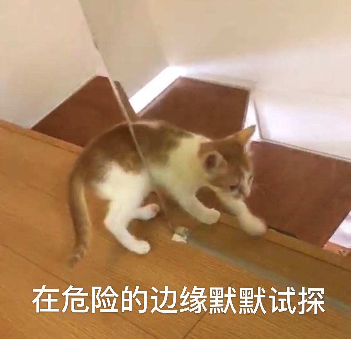 什么原因会导致猫咪便秘,猫咪便便软不成形分析