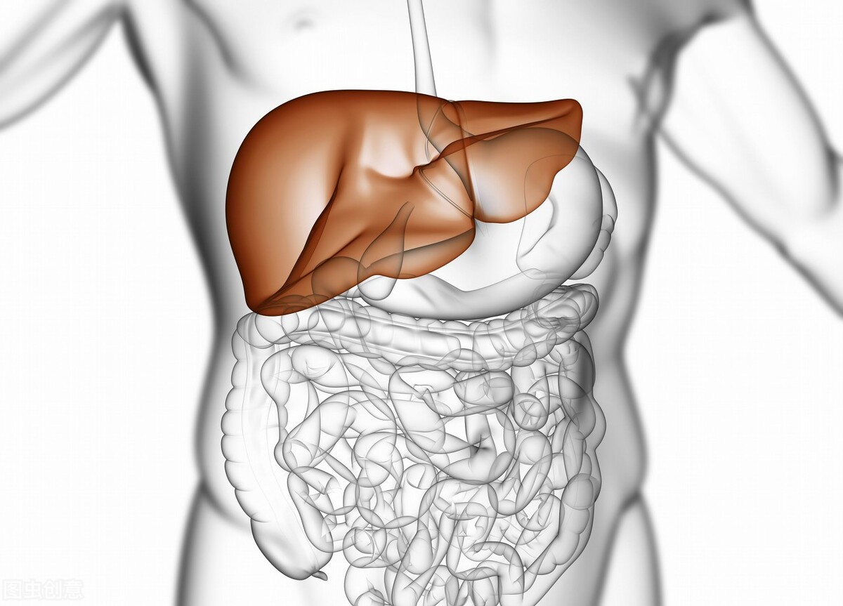 猪吃蛇为什么说蛇是猪的克星呢,猪吃蛇猪为什么不怕蛇毒