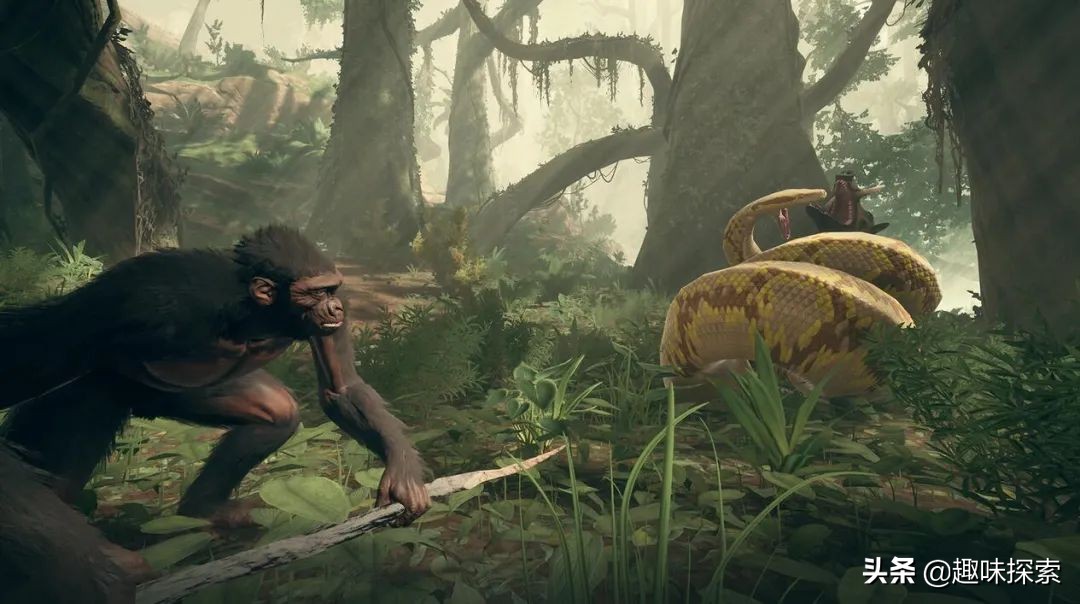 人类*亲近**存在阴茎骨,为何人类却褪去了,祖先经历了什么?