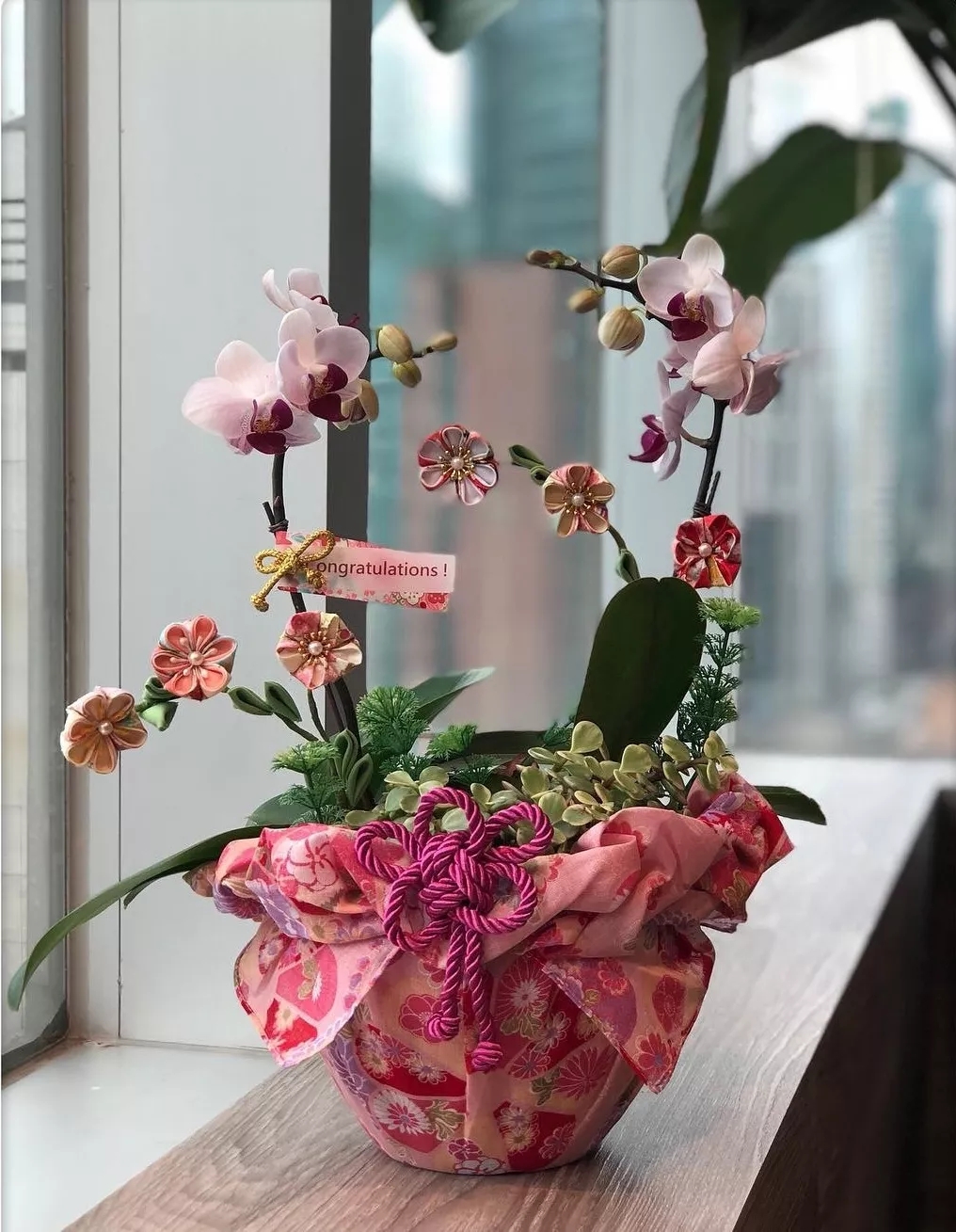 蝴蝶兰难养,蝴蝶兰开花后需要做好的养护要点