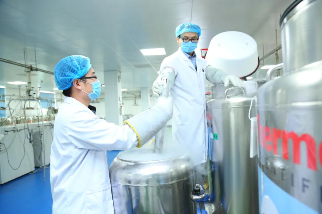 脐带血如何采集?如果孩子早产了