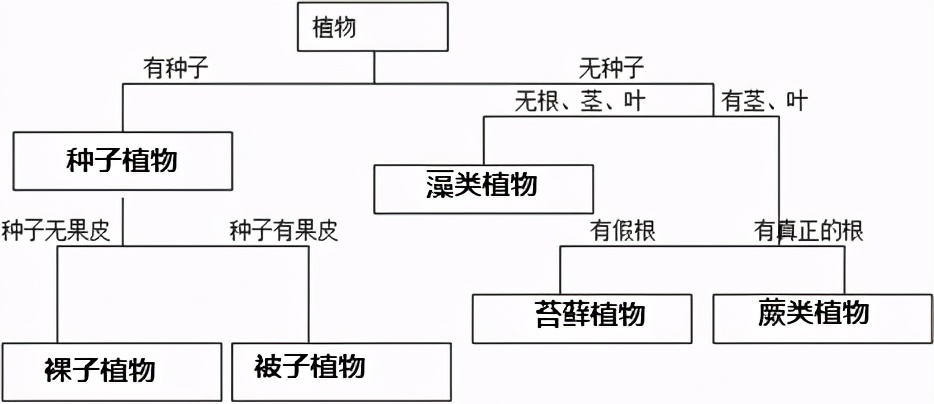 初中生物必背知识点结构图,初中生物必背知识点全解