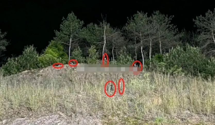 杨幂被拍在横店,杨幂被镜头包围照片